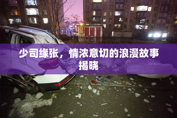 少司缘张，情浓意切的浪漫故事揭晓