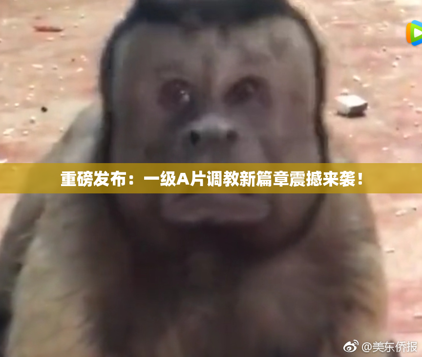 重磅发布：一级A片调教新篇章震撼来袭！