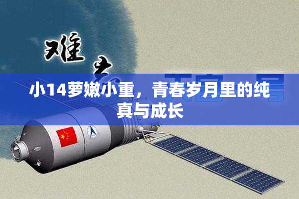 小14萝嫩小重，青春岁月里的纯真与成长