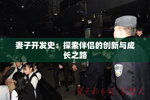 妻子开发史：探索伴侣的创新与成长之路