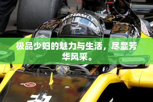 极品少妇的魅力与生活，尽显芳华风采。