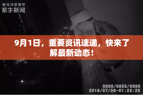 9月1日，重要资讯速递，快来了解最新动态！