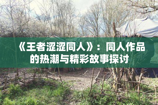 《王者涩涩同人》：同人作品的热潮与精彩故事探讨