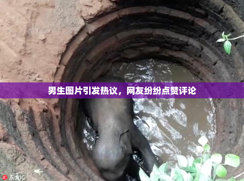 男生图片引发热议，网友纷纷点赞评论