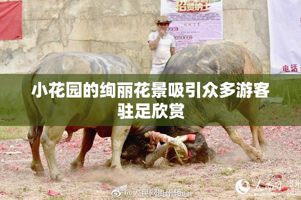 小花园的绚丽花景吸引众多游客驻足欣赏