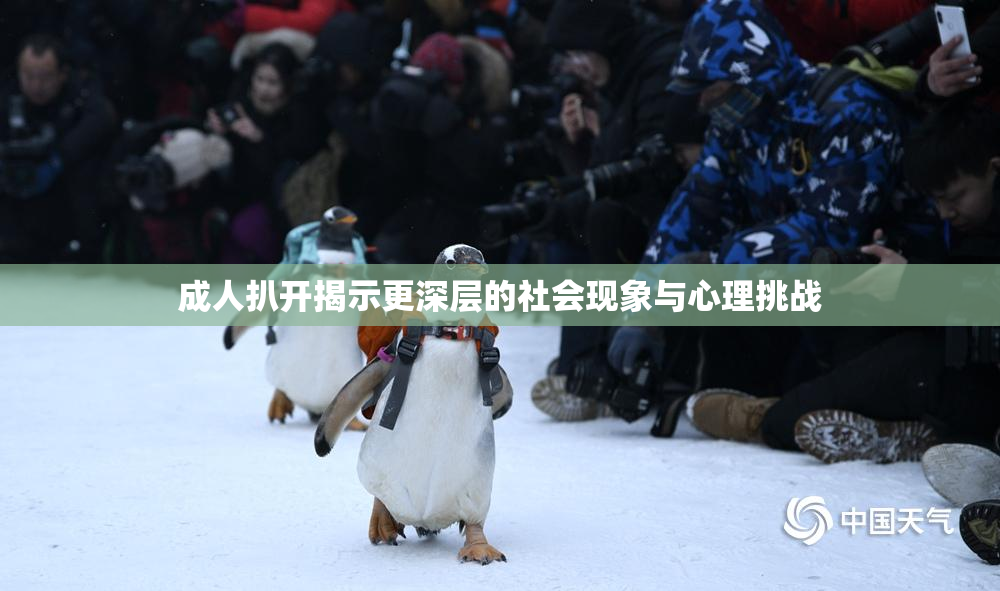 成人扒开揭示更深层的社会现象与心理挑战