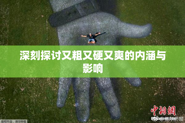 深刻探讨又粗又硬又爽的内涵与影响
