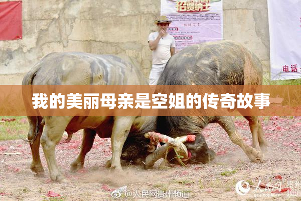 我的美丽母亲是空姐的传奇故事