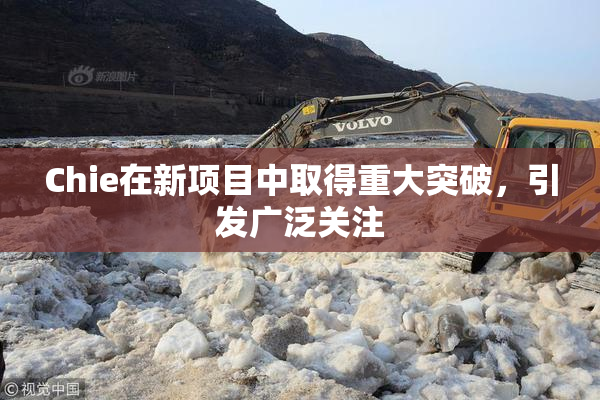 Chie在新项目中取得重大突破，引发广泛关注