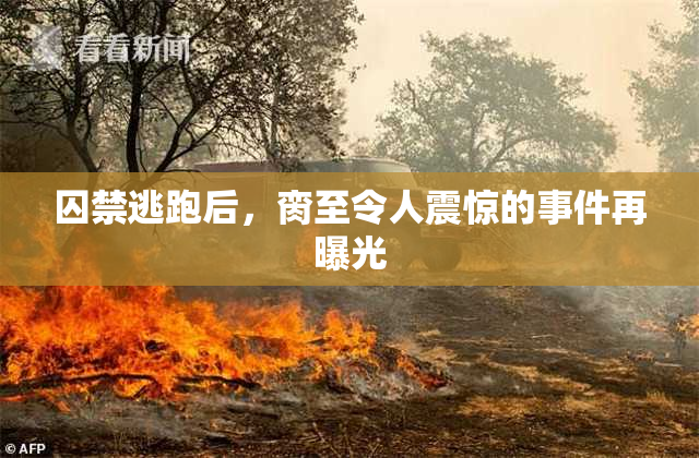 囚禁逃跑后，脔至令人震惊的事件再曝光