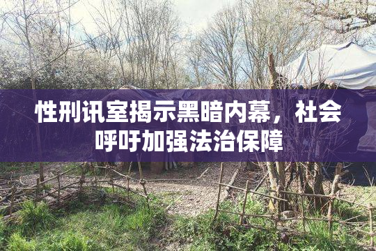 性刑讯室揭示黑暗内幕，社会呼吁加强法治保障