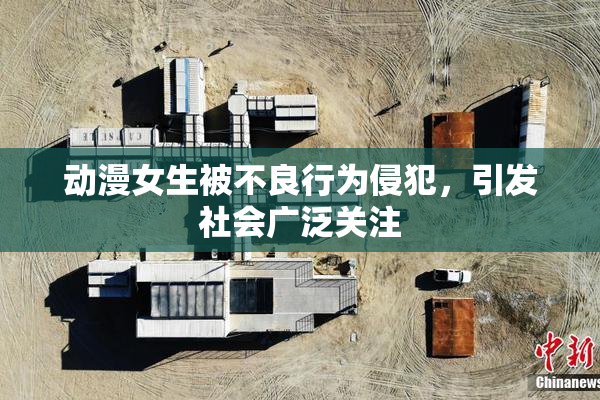 动漫女生被不良行为侵犯，引发社会广泛关注