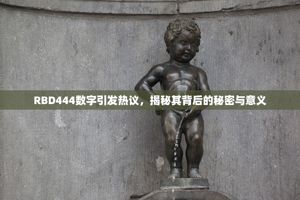 RBD444数字引发热议，揭秘其背后的秘密与意义