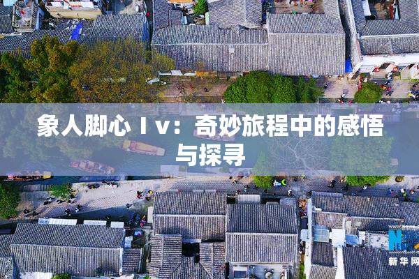 象人脚心Ⅰv：奇妙旅程中的感悟与探寻