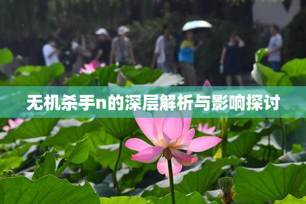 无机杀手n的深层解析与影响探讨