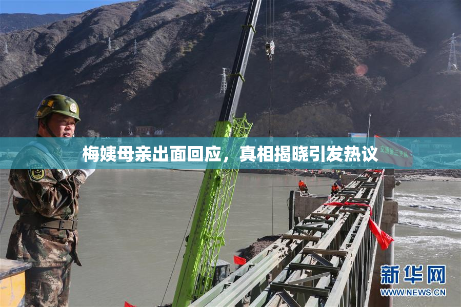 梅姨母亲出面回应，真相揭晓引发热议