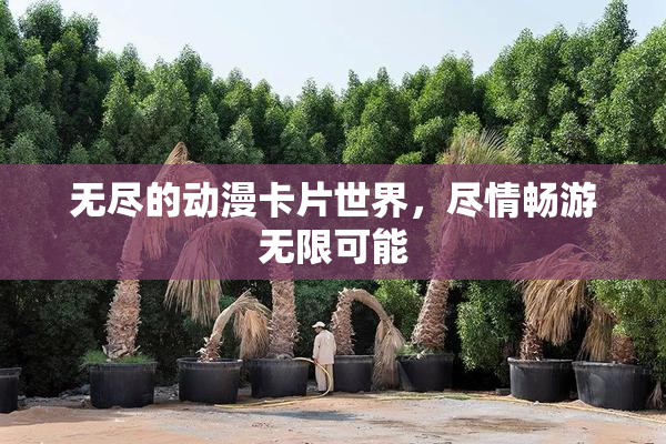 无尽的动漫卡片世界，尽情畅游无限可能