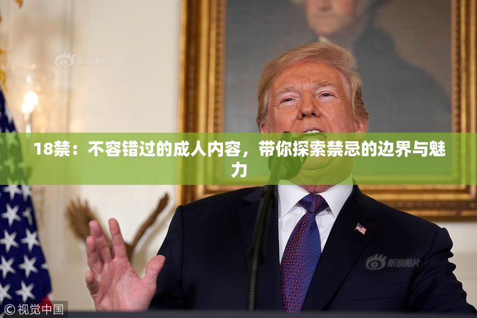 18禁：不容错过的成人内容，带你探索禁忌的边界与魅力