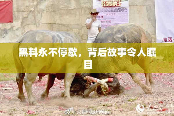黑料永不停歇，背后故事令人瞩目