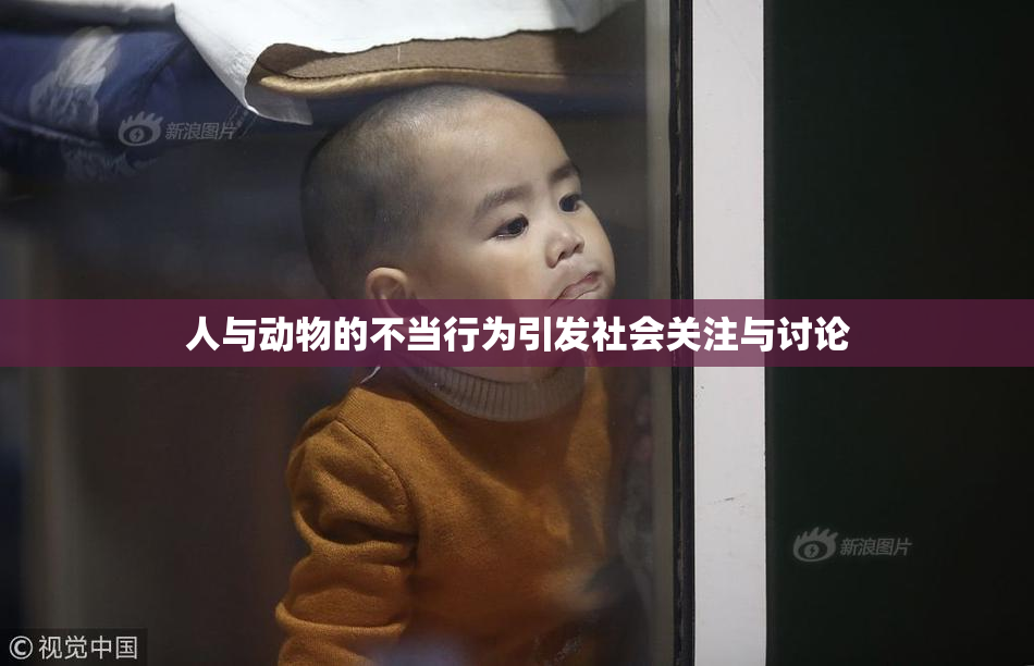 人与动物的不当行为引发社会关注与讨论