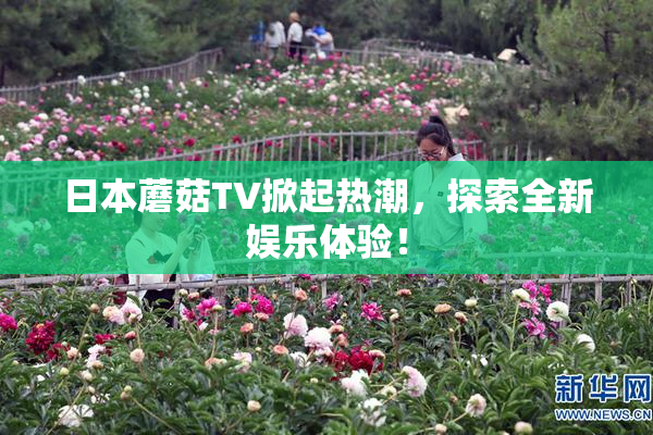 日本蘑菇TV掀起热潮，探索全新娱乐体验！