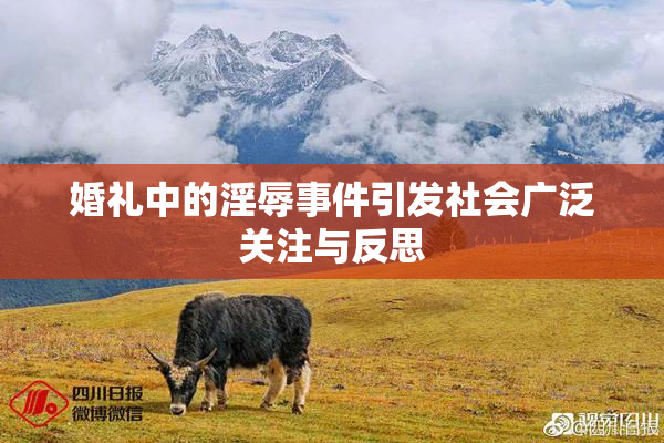 婚礼中的淫辱事件引发社会广泛关注与反思