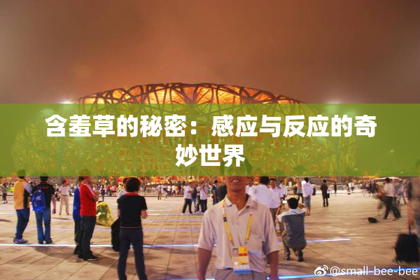 含羞草的秘密：感应与反应的奇妙世界