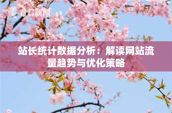 站长统计数据分析：解读网站流量趋势与优化策略
