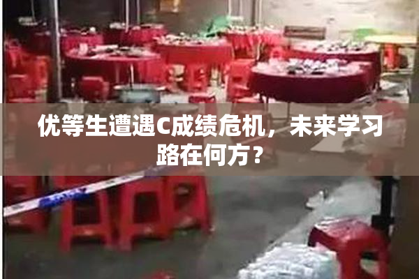 优等生遭遇C成绩危机，未来学习路在何方？