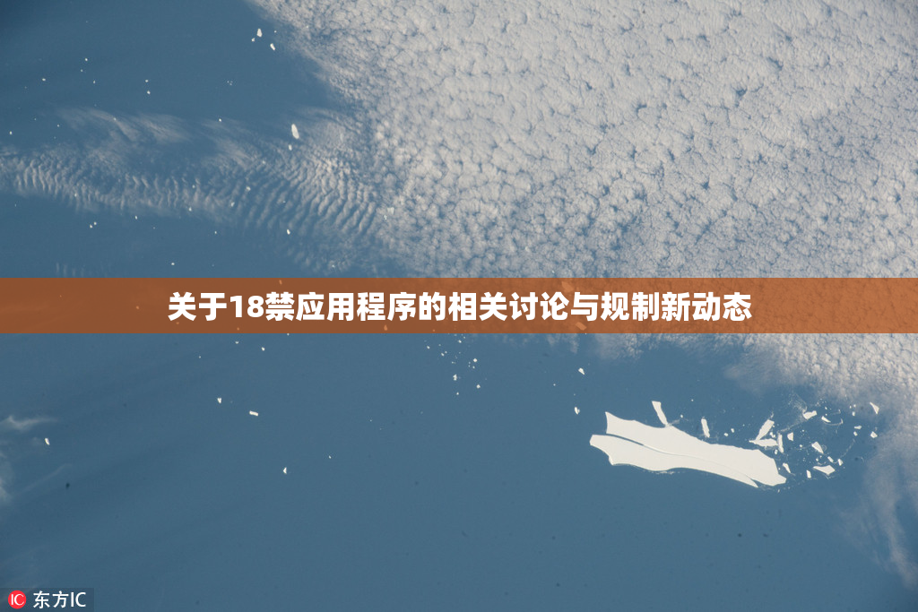 关于18禁应用程序的相关讨论与规制新动态