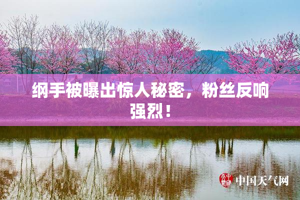 纲手被曝出惊人秘密，粉丝反响强烈！