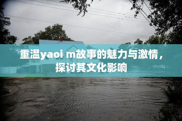 重温yaoi m故事的魅力与激情，探讨其文化影响