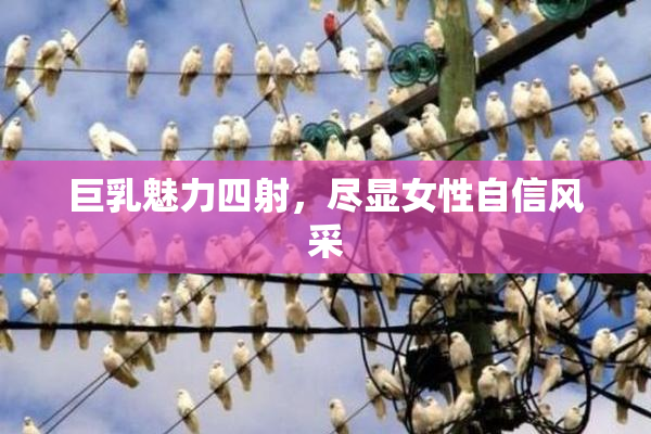 巨乳魅力四射，尽显女性自信风采