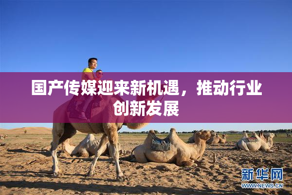 国产传媒迎来新机遇，推动行业创新发展