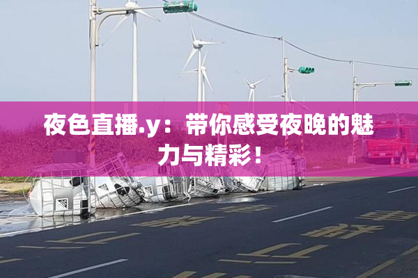 夜色直播.y：带你感受夜晚的魅力与精彩！