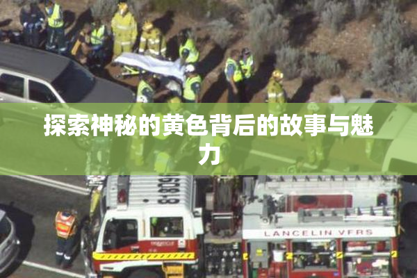 探索神秘的黄色背后的故事与魅力