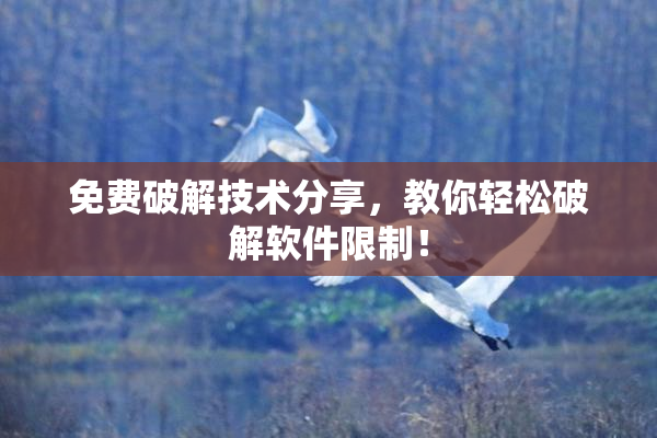 免费破解技术分享，教你轻松破解软件限制！