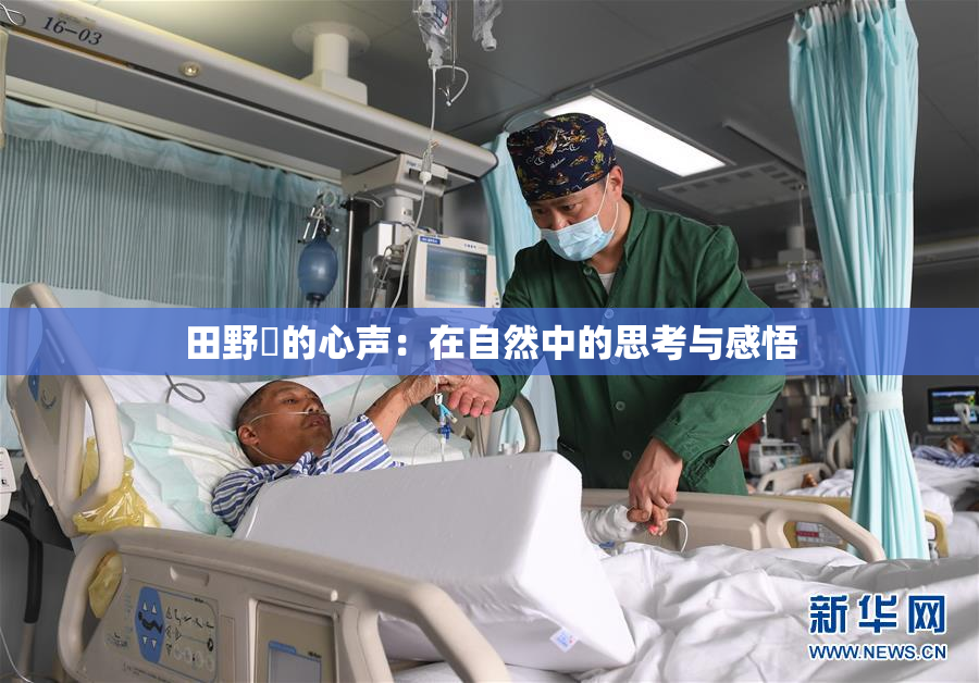 田野憂的心声：在自然中的思考与感悟
