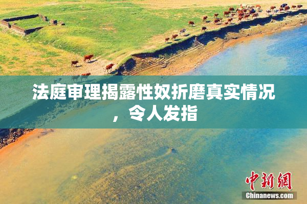 法庭审理揭露性奴折磨真实情况，令人发指