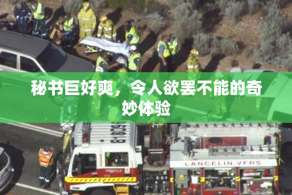 秘书巨好爽，令人欲罢不能的奇妙体验