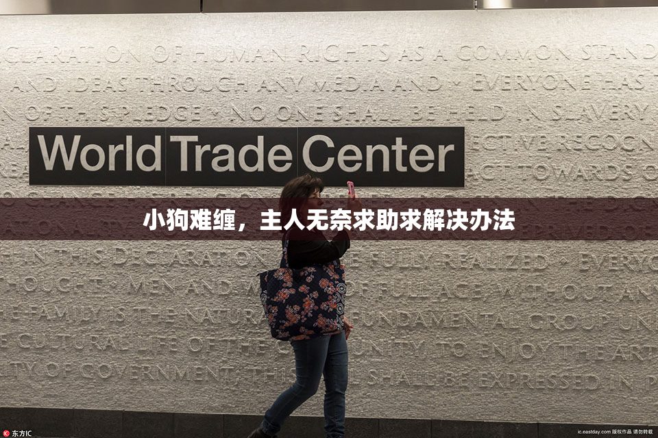 小狗难缠，主人无奈求助求解决办法