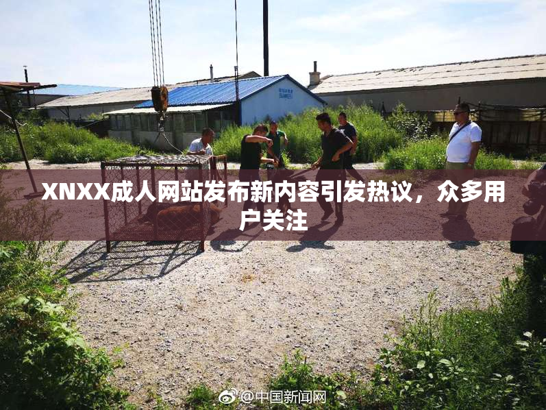 XNXX成人网站发布新内容引发热议，众多用户关注