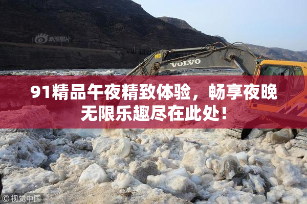 91精品午夜精致体验，畅享夜晚无限乐趣尽在此处！