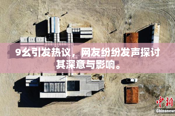9幺引发热议，网友纷纷发声探讨其深意与影响。
