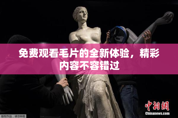 免费观看毛片的全新体验，精彩内容不容错过