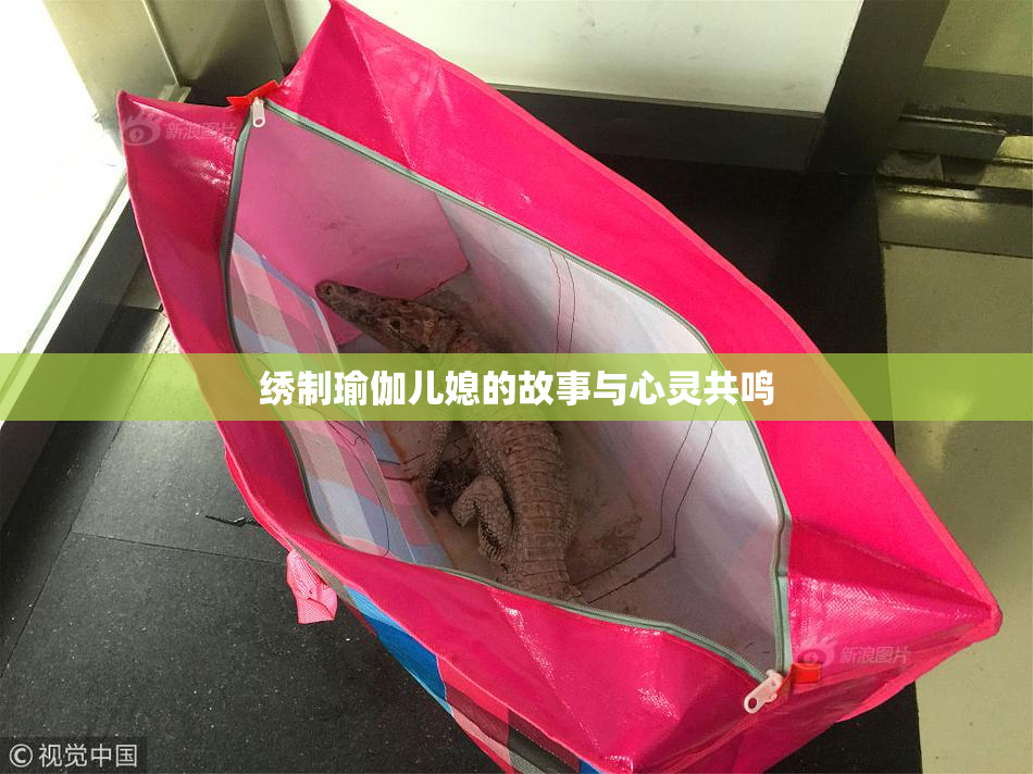 绣制瑜伽儿媳的故事与心灵共鸣