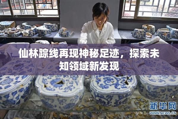 仙林踪线再现神秘足迹，探索未知领域新发现