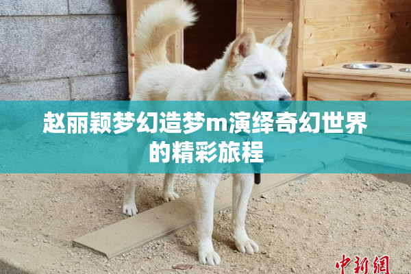 赵丽颖梦幻造梦m演绎奇幻世界的精彩旅程