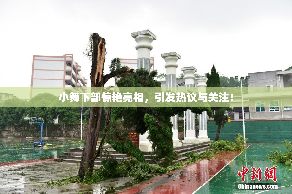 小舞下部惊艳亮相，引发热议与关注！