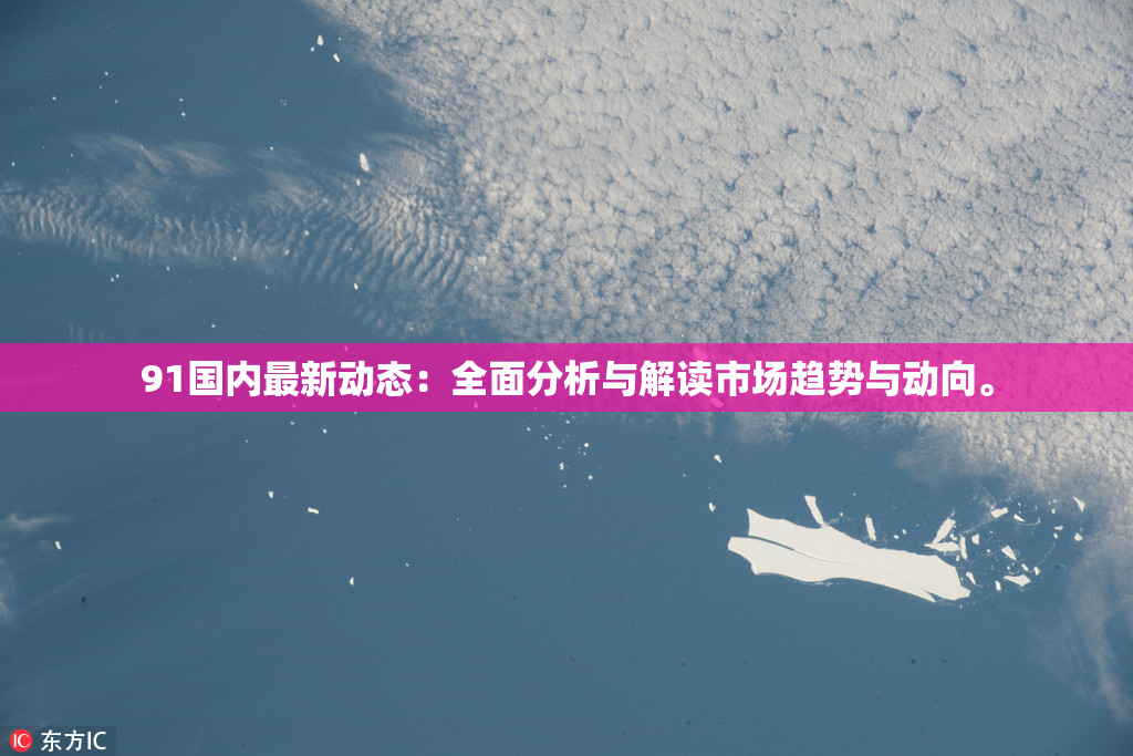 91国内最新动态：全面分析与解读市场趋势与动向。